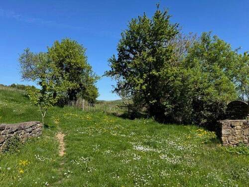 Ausblick zur Wiese - 