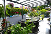 Terrasse - 