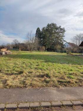 Bild 1 - Idyllisches, naturnahes Baugrundstück