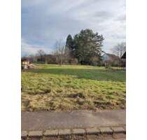 Idyllisches, naturnahes Baugrundstück - Konz Hamm