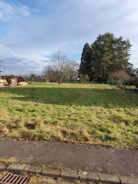 Bild 3 - Grundstück in Konz