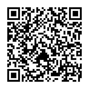 QR-Code - 