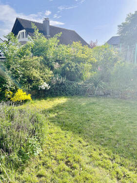 Bild5 - 