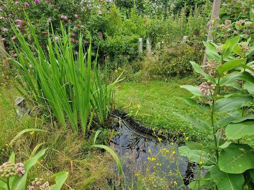 Teich - Einfamilienhaus mit 190,00 m&sup2; in Porta Westfalica zum Kaufen