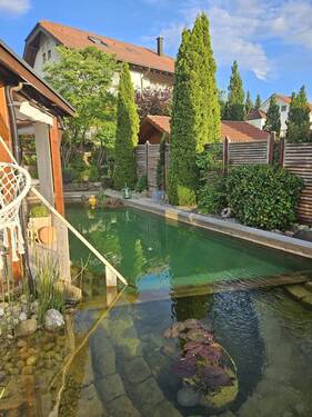 Schwimmteich 2.jpg - 