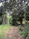 IMG_5615 - 