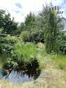 IMG_5796 - 
