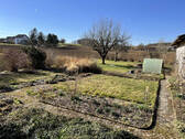 Bild9 - 