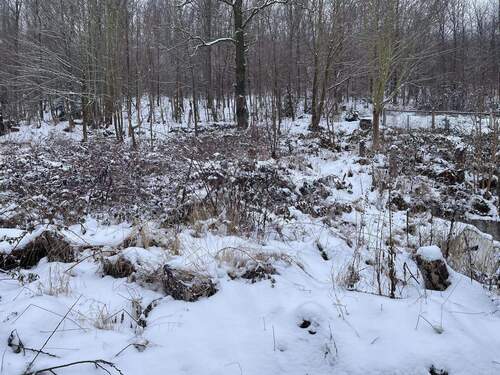 oberer Teil des Grundstücks - Grundstück in Nossen zum Kaufen