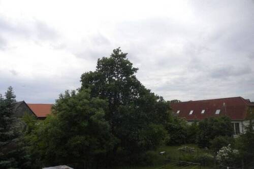 Bild 1 - Angenehmes Wohnen auf dem Lande mit netten Mitmietern