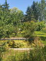Garten vor mit Teich - 