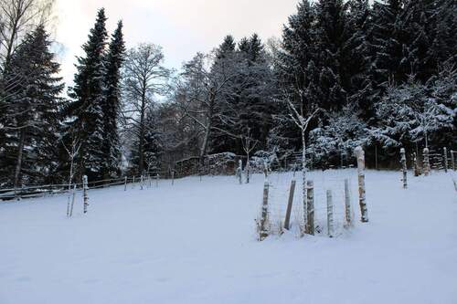 Garten mit Obstbäumen - 4 Zimmer Einfamilienhaus zum Kaufen in Jöhstadt