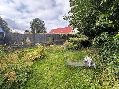 PHOTO-2024-10-22-11-34-57 (5) - 