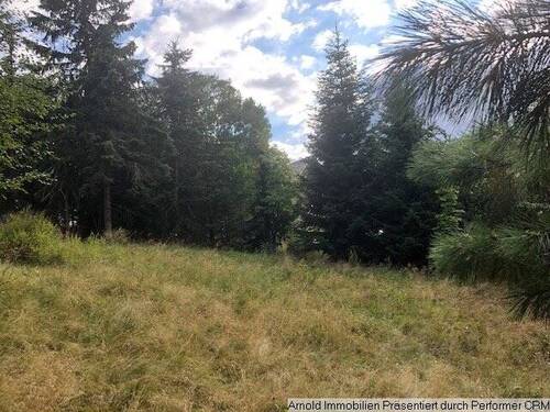 Ansicht - Grundstück zum Kaufen in Altenberg