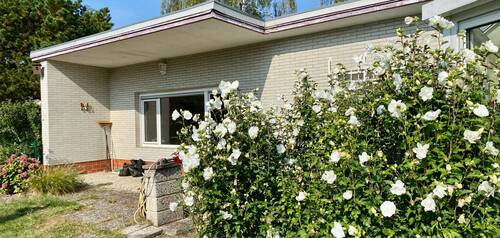 98F65E6C-3E9D-4BDF-8C13-140F8A48D226_1_201_a.jpeg - „Charmanter Reihenendbungalow mit Entwicklungspotenzial in Berlin-Lankwitz“