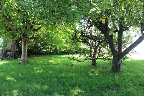 Garten mit Zuwendungsbedarf - 