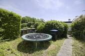 hinterer Garten - 