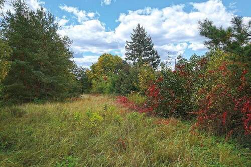 Blick auf das Grundstück - 