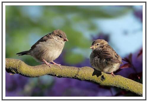 Herzlich Willkommen sagt Hensel Immobilien! - Zeit zum Durchstarten, 4 Familienhaus mit Gemeinschaftsgarten :))