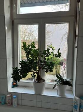 Wanne mit Aussicht - 