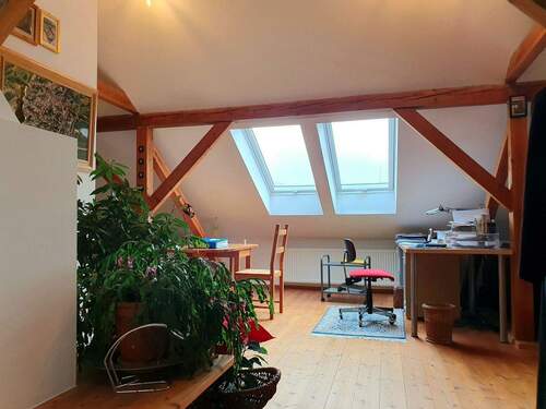 DG Studio. - 