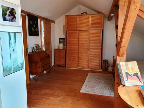 DG Studio. - 