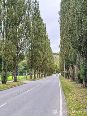 Willkommen in Lauda-Königshofen - 