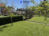 Garten - 7 Zimmer Doppelhaushälfte in Nordhausen