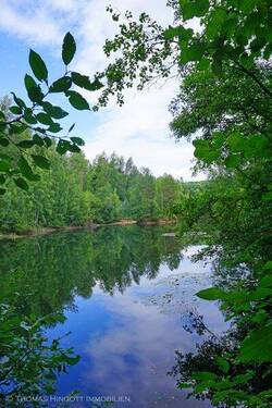 Naturschutzgebiet Grube Cox - 