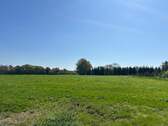 Weide Teil 4 - 