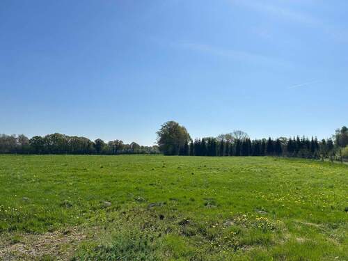 Weide Teil 4 - 