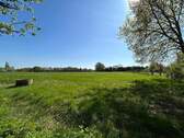 Weide Teil 1 - 