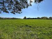 Weide Teil 2 - 