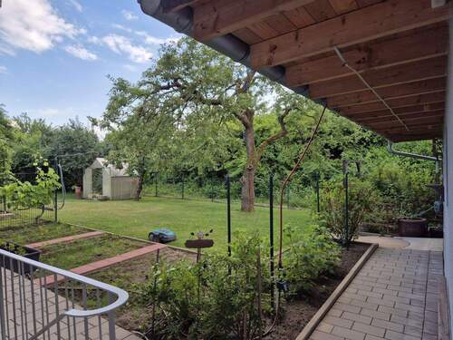 von der Kellertreppe im Garten - 