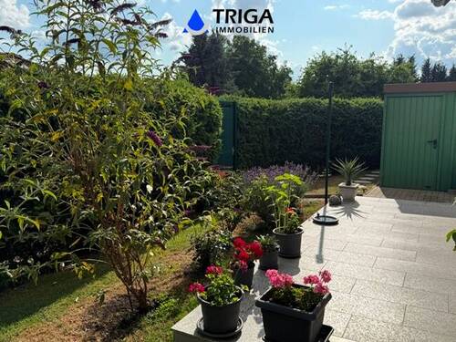 Blick von der Terrasse - 