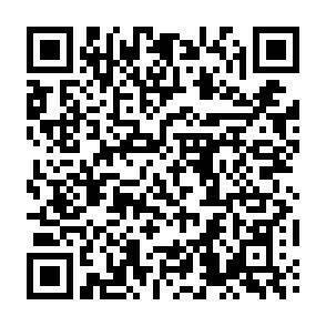 QR-Code - 
