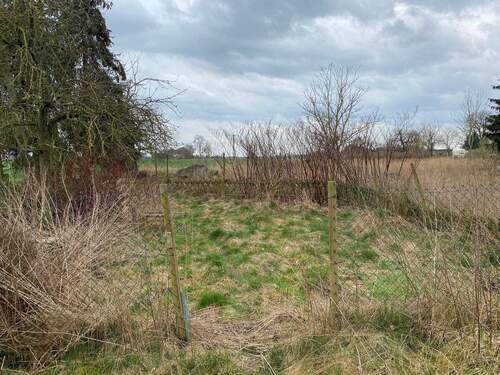 Garten 2.jpg - 