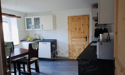 Küche mit direktem Zugang zum Garten - 5 Zimmer Einfamilienhaus zum Kaufen in Großenhain
