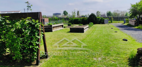 großer ruhiger Gartenbereich - Einfamilienhaus mit 215,00 m² in Großenhain zum Kaufen