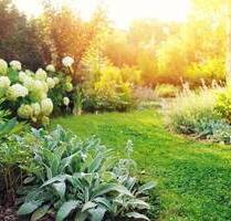 Mitten in Ronneburg - Mein Grundstück