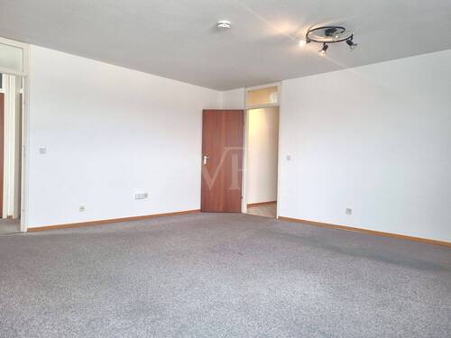 Großzügiger Wohnbereich - 