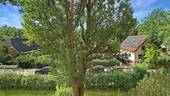 Ausblick vom Balkon - 