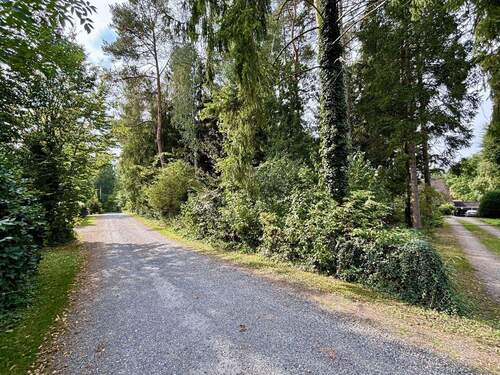 Blick vom Iltisstieg - Grün. Ruhig. Flexibel. - Baugrundstück in Buchholz mit altem Baumbestand und viel Potenzial