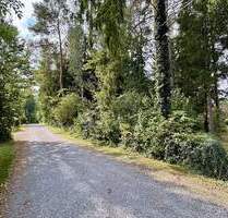 Grün. Ruhig. Flexibel. - Baugrundstück in Buchholz mit altem Baumbestand und viel Potenzial - Buchholz in der Nordheide