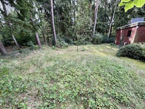 Ein Stück Freiheit zwischen Bäumen - 