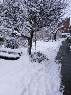 Gemeinschaftsfläche - 