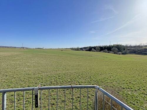 Ausblick - 