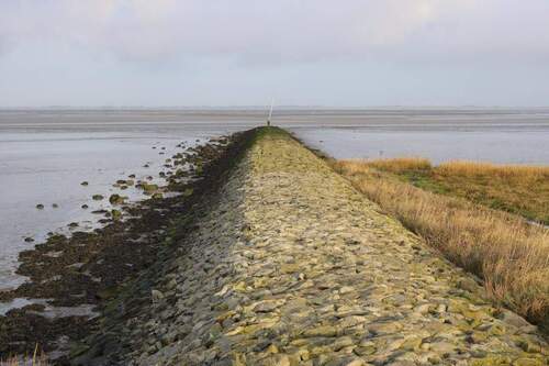 Wattenmeer Burhave - 