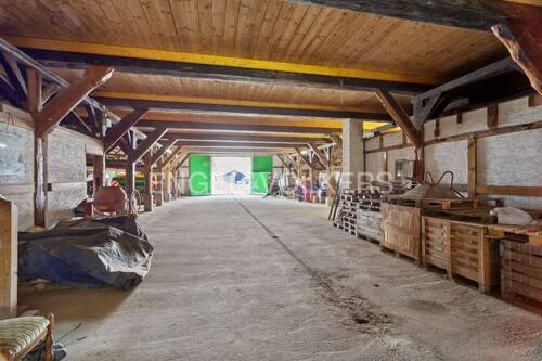 Blick in die große, ausbaufähige Halle - 