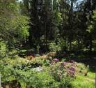 Ausblick Garten - 